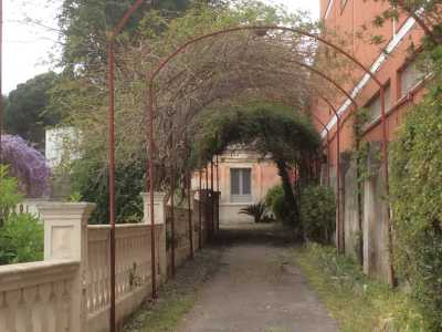 Il tunnel di vegetazione che costituisce l'accesso a villa Serafina
